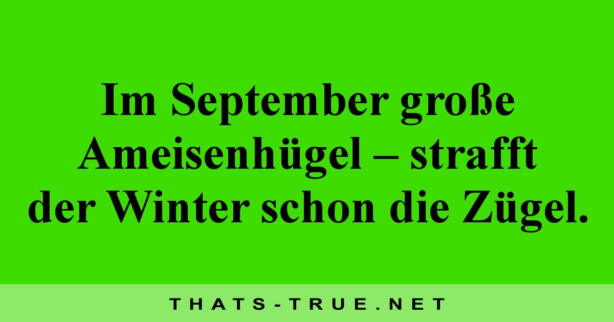 Im September große Ameisenhügel – strafft der Winter schon die Zügel.